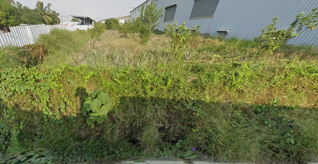 鳥松區 水管路前後巷都內農地